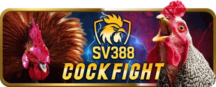 Ưu đãi sự kiện đặc biệt w88vt nhà cái